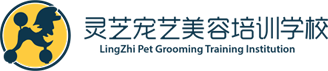 士元直角減速電機(jī)
